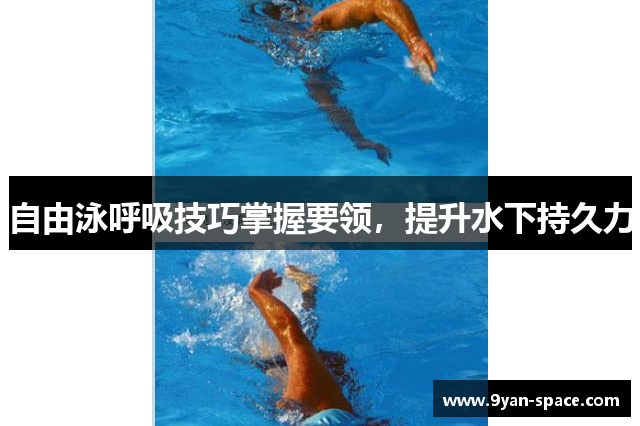 自由泳呼吸技巧掌握要领，提升水下持久力